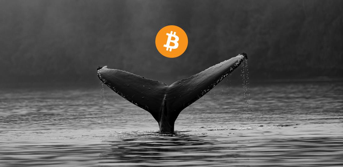 Borsalarda Bitcoin Çıkışı Olurken Balinalar Bitcoin Yatırıyor.
