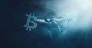 Bitcoin Düşüşünün Sebebi Balinalar Mı?