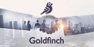 Goldfinch GFI Coin Nedir? GFI Coin Nereden Alınır?